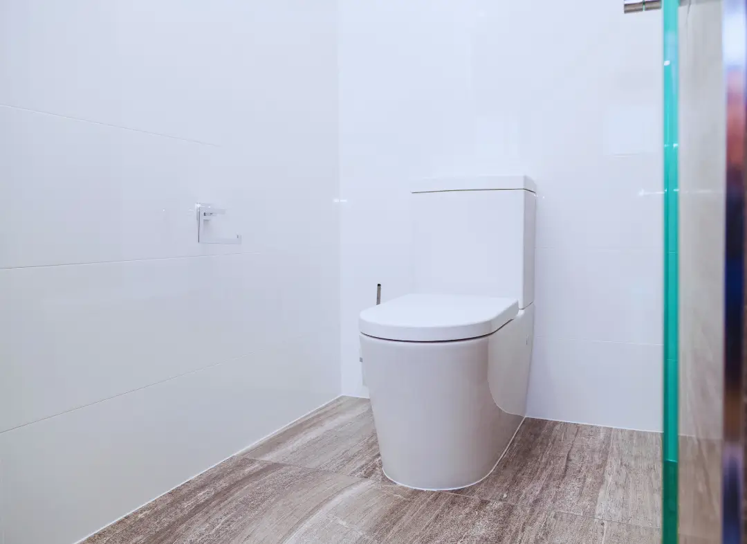 Remplacement de wc Vendenheim